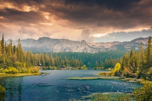 My Backyard